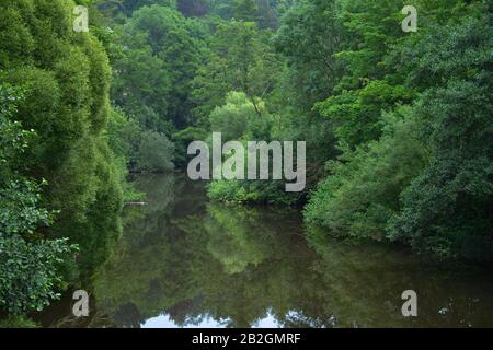 Saale, Hof an der Saale, Oberfranken, Bayern, Deutschland Stockfoto