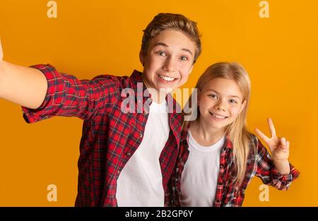 Bruder und Schwester des Teenagers, die selfie nahmen, lächelten und Friedensgeste zeigten Stockfoto