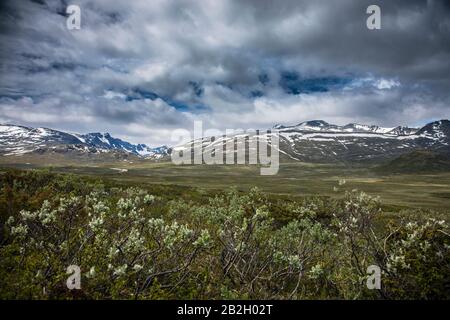 Schwere Wolken kommen über die norwegischen Berge Stockfoto