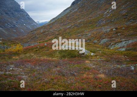 Schöne Farben rund um einen kleinen See in den norwegischen Bergen Stockfoto