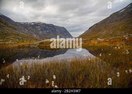 Schöne Farben rund um einen kleinen See in den norwegischen Bergen Stockfoto