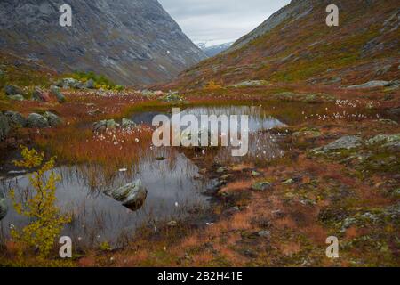 Schöne Farben rund um einen kleinen See in den norwegischen Bergen Stockfoto