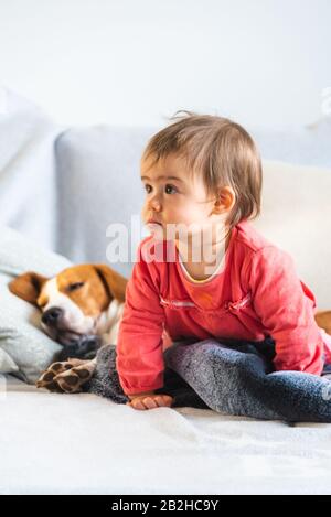 Baby mit Hund auf Sofa, das sich zusammen entspannt. Stockfoto