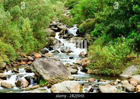 Ein klarer Gebirgsbach kaskadiert über glatte und eckige Felsen und bildet kleine Wasserfälle und weiße Stromschnellen. Der Fluss ist von dichter grüner Vegetation umgeben, darunter Sträucher, Büsche und Bäume Stockfoto