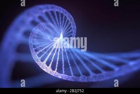 3D-Abbildung der DNA, die von Molekülen hergestellt wird, die Nukleotide genannt werden. Die vier Arten von Stickstoffbasen sind Adenin, Thymin, Guanin und Cytosin. Stockfoto