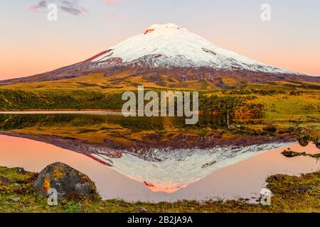 Der Vulkan Cotopaxi Spiegelt Sich Im Santo Domingo Reservoir Wider Stockfoto