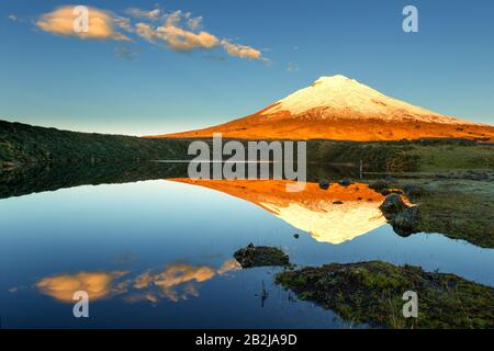 Der Vulkan Cotopaxi Spiegelt Sich In Der Laguna Von Santo Domingo Wider Stockfoto