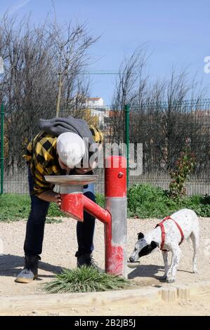 Mann und Hund trinken zusammen in einem Park/Hund und menschlichem Lookalike/ Trinkwasser aus einem Brunnen/ Stockfoto