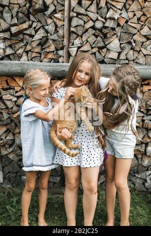 Drei lustige kleine Mädchen, die mit einer Katze spielen, während sie im Freien auf dem Hintergrund gestapelter Brennholz stehen. Kinderfreundschaften, Land Stockfoto