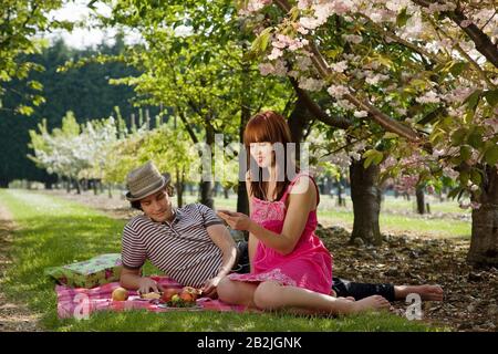 Ein paar Picknicken in Orchard Stockfoto