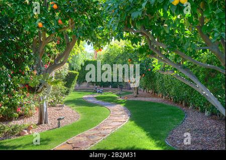 Obstbäume Plantage im Garten des Herrenhauses Stockfoto