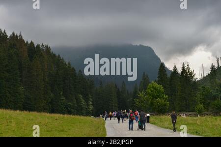 Wanderer, Bergalm, Dolina Koscieliska, Hohe Tatra, Polen Stockfoto