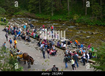Wanderer, Rast, Dolina Koscieliska, Hohe Tatra, Polen Stockfoto