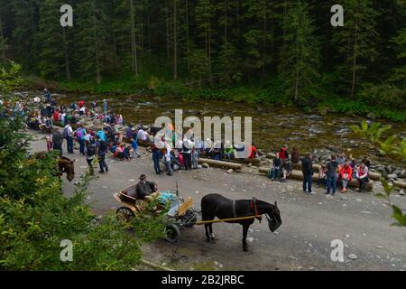 Wanderer, Rast, Dolina Koscieliska, Hohe Tatra, Polen Stockfoto