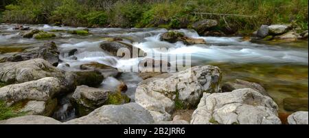 Bergbach, Dolina Koscieliska, Hohe Tatra, Polen Stockfoto