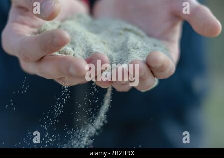 Sand gießt durch die Finger. Weiße Sandkörner fließen von einer Handvoll junger Männer. Das Konzept der Laufzeit. Selektiver Fokus. Nahaufnahme. Stockfoto