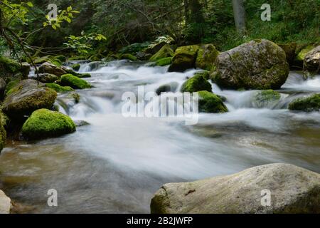 Bergbach, Dolina Koscieliska, Hohe Tatra, Polen Stockfoto