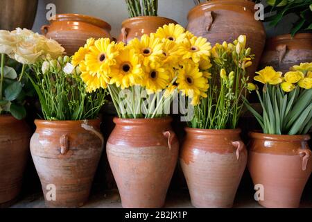 Nahaufnahme von Sonnenblumen in Keramikvase Stockfoto