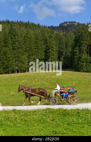Pferdekutsche, Dolina Koscieliska, Hohe Tatra, Polen Stockfoto