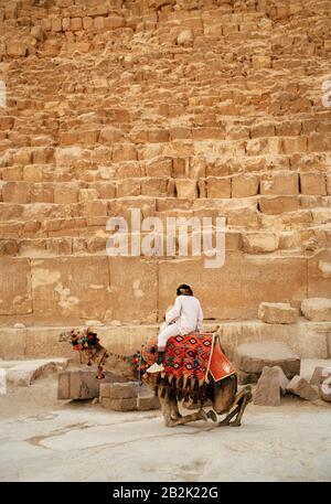 Reisefotografie - Kamel, der vor der Pyramide von Khafre auf den Pyramiden von Gizeh in Kairo in Ägypten in Nordafrika im Nahen Osten ruht Stockfoto