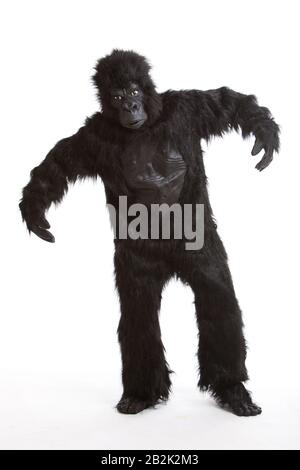 Junger Mann, der ein Gorilla-Kostüm vor weißem Hintergrund trägt Stockfoto