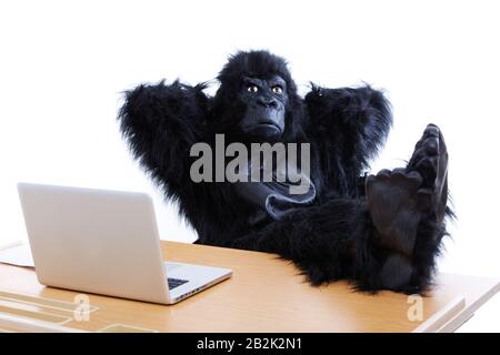 Junger Mann im Gorillakostüm, der Füße auf dem Schreibtisch im Büro ruht Stockfoto