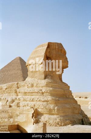 Reisefotografien - die Sphinx und die große Pyramide Cheops Khufu auf den Pyramiden von Gizeh in Kairo in Ägypten in Nordafrika, Naher Osten Stockfoto