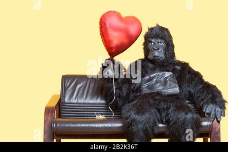 Junger Mann, der in Gorillakostüm gekleidet ist und einen herzförmigen Ballon auf dem Sofa über farbigem Hintergrund hält Stockfoto