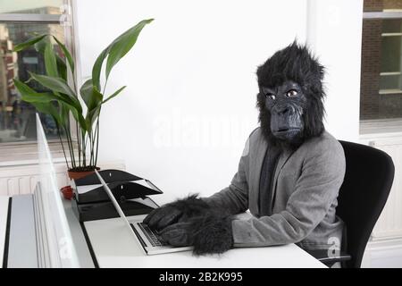 Portrait des jungen Mannes in Gorilla-Maske mit Laptop im Büro Stockfoto
