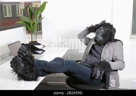 Nachdenklicher junger Mann im Gorillakostüm, der im Büro ruht Stockfoto