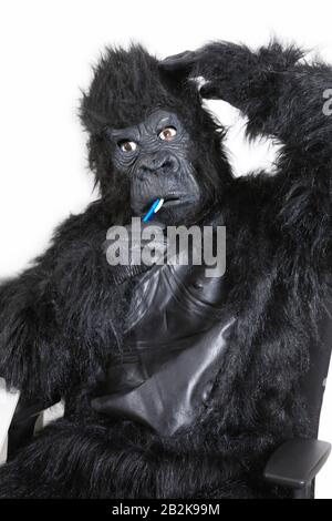 Porträt des jungen Mannes im Gorilla-Kostüm, der Zähne vor weißem Hintergrund putzt Stockfoto