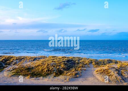 Atlantische Dünen Stockfoto