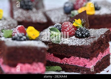 Erfurt, Deutschland. März 2020. Verzierter Kuchen ist beim 6. Thüringer Tin-Kuchen-Wettbewerb im Rahmen der Thüringer Ausstellung zu sehen. Die größte Verbrauchermesse in Thüringen startete am 29. Februar ihre 30. Ausgabe. 750 Aussteller präsentieren sich auf der Messe Erfurt. Bis zum 8. März werden dort mehrere Zehntausende Besucher erwartet. Kredit: Martin Schutt / dpa-Zentralbild / dpa / Alamy Live News Stockfoto