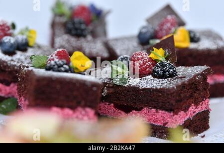 Erfurt, Deutschland. März 2020. Verzierter Kuchen ist beim 6. Thüringer Tin-Kuchen-Wettbewerb im Rahmen der Thüringer Ausstellung zu sehen. Die größte Verbrauchermesse in Thüringen startete am 29. Februar ihre 30. Ausgabe. 750 Aussteller präsentieren sich auf der Messe Erfurt. Bis zum 8. März werden dort mehrere Zehntausende Besucher erwartet. Kredit: Martin Schutt / dpa-Zentralbild / dpa / Alamy Live News Stockfoto