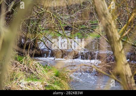 Kleiner Fluss mit sehr kleinem Wasserfall, umgeben von Bäumen und Sträuchern Stockfoto