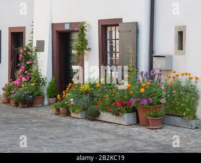 Holztüre und Fenster in der traditionellen Schweizer Stuck-Residenz, die von bunten Blumentöpfen und Pflanztöpfen flankiert werden Stockfoto