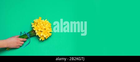Die Hand einer Frau hält einen gelben Narzi-Blumenstrauß auf grünem Hintergrund mit Kopierraum. Festliche Werbegestaltung für Webbanner, Aktionsplaster. Stockfoto