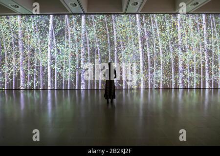 Hayward Gallery, London, Großbritannien. März 2020. Jennifer Steinkamp, Blind Eye, 1, 2018 - Unter den Bäumen in der Hayward Gallery, einer neuen Ausstellung, die uns umstellt, wie wir über Bäume und Wälder denken und wie sie die menschliche Zivilisation geformt haben. Die von Hayward Gallery Director, Ralph Rugoff, kuratierte Ausstellung umfasst kolumbianische Regenwälder, Dschungel in Japan, Olivenplantagen in Israel, skandinavische Wälder und einen unterirdischen Wald in Südafrika. Sie läuft vom 4. März bis 17. Mai 2020. Credit: Guy Bell/Alamy Live News Stockfoto