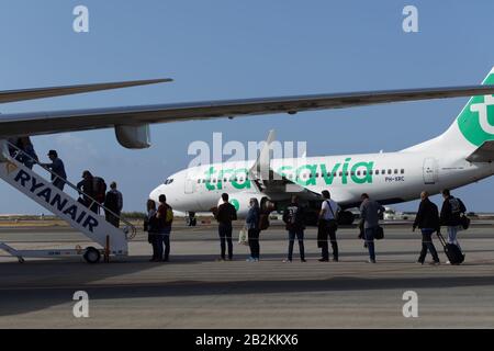 Passagiere, die mit dem Ryanair-Flugzeug gegen das Flugzeug einer anderen Billigfluggesellschaft Transavia im Flughafen Faro, Portugal, einsteigen Stockfoto