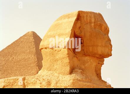 Reisefotografien - die Sphinx und die große Pyramide Cheops Khufu auf den Pyramiden von Gizeh in Kairo in Ägypten in Nordafrika, Naher Osten Stockfoto