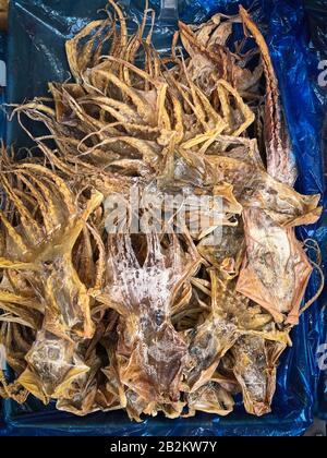 Getrocknetes Tintenfisch auf dem Lebensmittelmarkt in China, trockene Meeresfrüchte - Stockfoto