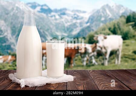 Milchflasche und Milchglas auf Holztischplatte auf dem Hintergrund der Alm- und Kühherde. Ökologische Milchproduktion Stockfoto