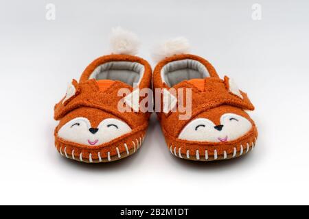 Süße, orangefarbene, fuchsförmige Babyslipper isoliert auf weißem Hintergrund. Stockfoto