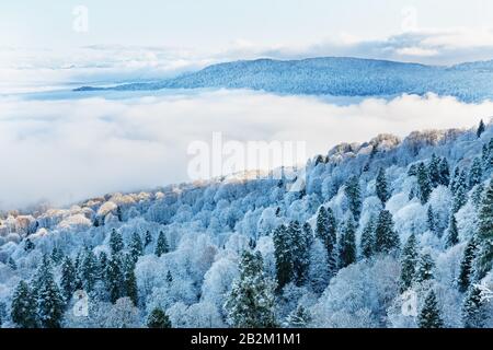 Blick von der Spitze des schneebedeckten Waldes mit tief schwebenden Wolken. Schöne Winterlandschaft. Adygea, Region Krasnodar Stockfoto