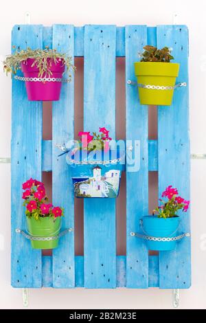 Bunte Blumentöpfe, Kos, Griechenland Stockfoto