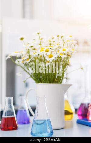 Eine große Vase mit Gänseblümchen im chemischen Labor, Kolben mit farbigen Flüssigkeiten, die auf dem Tisch stehen. Festtag, der Tag des Chemikers, der Holi Stockfoto