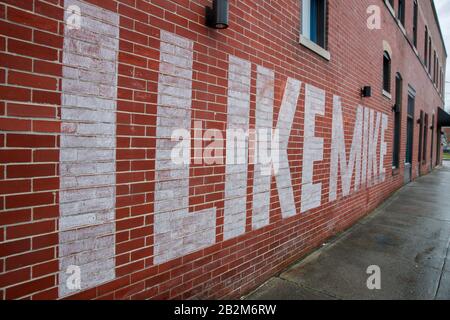 Kampagnenschilder und -Nachrichten werden am Montag, 2. März 2020 in Mike Bloombergs Kampagnenbüro in Knoxville, Tennessee, in Windows platziert. Holly McFaul, Pressevertreter der Kampagne in Tennessee, sagte, dass der Standort zuvor Vandalismusstandort gewesen sei und dass die Kampagne auf die Sicherheit ihrer Arbeiter und Freiwilligen bedacht sei. McFaul verweigerte aufgrund von Sicherheitsbedenken den Zugriff auf Fotos im Außendienst. Stockfoto