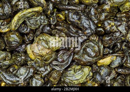 Gunpowder Grüner Tee Close Up Hochwertige Studio Shot Stockfoto