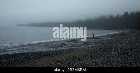 Ein nebeliger Tag am französischen Strand, Vancouver Island Stockfoto
