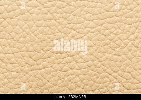 Strukturiertes beigefarbenes Leder in Nahaufnahme. Vollbild, Nahaufnahme. MacroTexture aus Echtem Leder cremefarben, Hintergrund, Oberfläche. Stockfoto